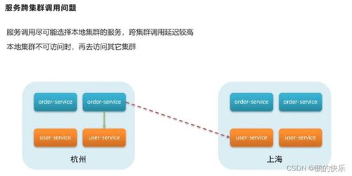 轻松掌握微服务治理 从Eureka到Nacos的注册中心核心知识与互联网域名服务探析