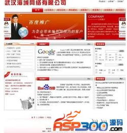 武汉海域网络公司 从域名空间到IDC源码的全栈互联网服务商